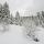 Photographie de la neige dans la forêt de montagne de la Valserine. PNR du Haut Jura.