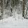 Image de neige dans la forêt de montagne de la Valserine.