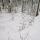 Photo de neige dans la forêt de montagne de la Valserine