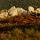 Image des crêtessauvages du Massif des Maures un soir d'été