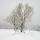 Photo d'arbres enneigés près de Chaumont en Haute Savoie