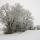 Image d'arbres sous la neige près de Chaumont en Haute Savoie