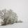 Photographie d'un paysage rural sous la neige et le brouillard près de Chaumont en Haute Savoie