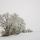 Photographie d'un paysage rural sous la neige et le brouillard près de Chaumont en Haute Savoie