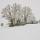 Photo d'arbres enneigés près de Chaumont en Haute Savoie