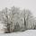 Image d'arbres sous la neige près de Chaumont en Haute Savoie