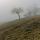 Photo d'un paysage rural dans le brouillard sur la crête du Vuache en Haute Savoie.