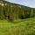 Image de printemps dans la vallée de la Valserine avec une prairie et une forêt de montagne