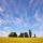 Photographie d'un champ de blé sous un ciel bleu et nuageux