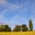 Image d'un champ de blé avec des arbres, le ciel bleu et des nuages