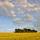 Image d'un ciel nuageux au dessus d'un champ de blé
