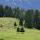 Image de prairies et de forêt de montagne sur le plateau de Bellecombe dans le Haut Jura