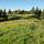 Image des prairies du plateau de Bellecombe dans le Haut Jura
