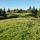 Image des prairies du plateau de Bellecombe dans le Haut Jura