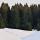 Photographie d'une forêt d'épicéas entourée par la neige dans les montagnes du Haut Jura