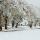 Image des premières neiges en Haute Savoie autour du village de Chaumont
