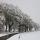 Photo de la campagne de Haute Savoie dans la neige et le brouillard