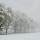 Photo d'arbres le long d'une route de campagne dans la neige et le brouillard