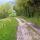 Image d'un chemin rural dans la campagne de Haute Savoie