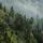 Image de la brume d'étét sur la forêt du Haut Jura dans la moraine du Niaizet