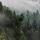 Image de la brume matinale sur les épicéas du Haut Jura dans la moraine du Niaizet