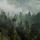 Photo d'un matin brumeux dans la moraine du Niaizet dans le Haut Jura