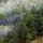 Photographie de la brume matinale sur la forêt du Haut Jura dans la vallée de la Valserine