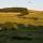 Photo de prairies et de bosquets entre Le Béage et Sainte Eulalie en Ardèche