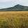 Photographie et prairies et de montagnes sur le Plateau Ardéchois