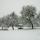 Photo de vieux pommiers sous la neige