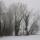 Photographie de neige et de brouillard dans la campagne