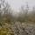 Photo de lapiaz dans le brouillard à Chaumont en Haute Savoie