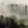 Photo d'arbres émergeant du brouillard dans la campagne de Haute Savoie