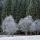 Image d'arbres blanchis per le givre d'un matin d'automne dans le Haut Bugey