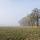 Paysage du plateau des Daines dans le brume d'un matin d'hiver