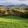 Image d'ombres et de lumières sur la campagne verdoyante de Haute Savoie