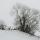 Paysage rural en hiver dans la campagne autour de Savigny en Haute Savoie
