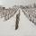 Photo des vignes de la Roussette sous la neige en hiver