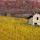 Photographie d'un vieux cabanon  en pierre dans le vignoble d'automne en Chautagne