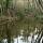 Photo d'une rivière en sous bois au bord du Lac des Escarcets dans la Plaine des Maures