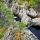 Photographie de la rivière de la Verne au printemps dans le Massif des Maures