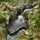 Photographie des marmites de géant du torrent du Fornant à Chaumont en Haute Savoie