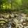 Photographie du torrent du Fornant près de Chaumont en Haute Savoie