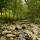 Photographie du torrent du Fornant courant dans les sous bois près de Chaumont en Haute Savoie