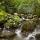 Image de petites cascades dans le torrent du Fornant en Haute Savoie