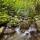Image de petites cascades en sous bois le long du torrent du Fornant