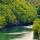 Photographie du Rhône traversant les forêts autour du Rhône en Haute Savoie