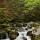 Image de petites chutes d'eau dans la rivière de la Valserine