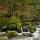 Image de la rivière de la Valserine cascadant à travers la forêt du PNR du Haut Jura
