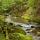 Photographie de la rivière de la Valserine à travers la forêt du PNR du Haut Jura
